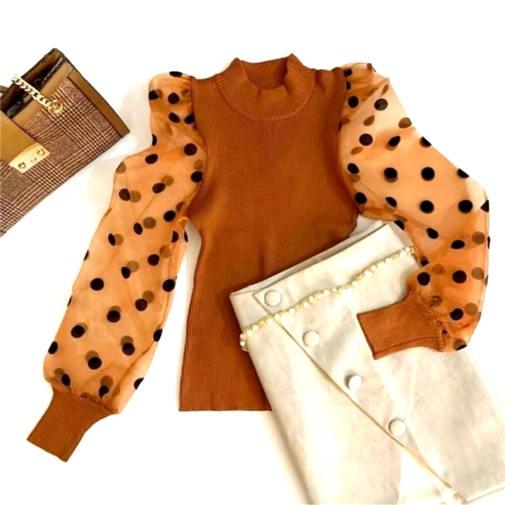 Bronze Mesh Polka Dot Patchwork Puff Bishop Sleeve Fitted Top - Picture 3 of 6
